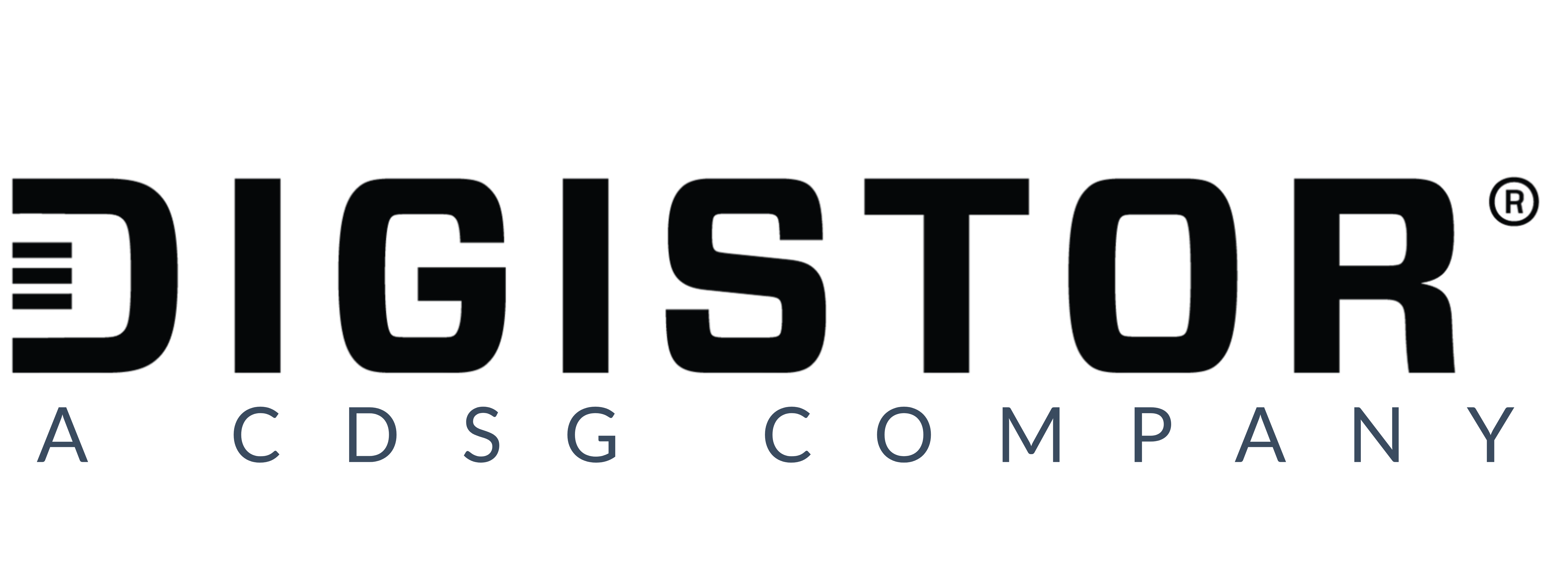 Logo for DigiStor