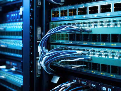 Network cables connected to switch