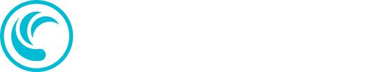 TD SYNNEX Logo - Footer
